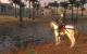 Mount & Blade: Warband PC, wersja cyfrowa 4