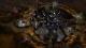 Grey Goo PC, wersja cyfrowa 7
