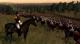 Empire and Napoleon: Total War GOTY PC, wersja cyfrowa 7