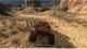 Duke Nukem Forever Balls of Steel Edition 7
