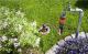 Gardena Zestaw podłączeniowy Profi-System 19 mm 2 m (02713-20) 1