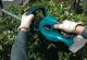 Makita Nożyce akumulatorowe DUH523Z 52 cm 1