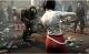 Dead Island 11