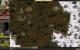 Majesty Gold HD PC, wersja cyfrowa 4