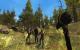 7 Days to Die 2-Pack PC, wersja cyfrowa 9