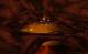 Rayman 2: The Great Escape GOG.COM Key GLOBAL 6