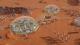 Surviving Mars: First Colony Edition PC, wersja cyfrowa 7