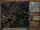 Disciples: Sacred Lands Gold PC, wersja cyfrowa 11
