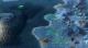 Sid Meier's Civilization: Beyond Earth - The Collection PC, wersja cyfrowa 1