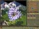 Age of Wonders PC, wersja cyfrowa 4