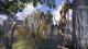The Elder Scrolls Online: Tamriel Unlimited Imperial Edition The Elder Scrolls Online Key GLOBAL 3