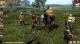 Legends of Eisenwald: Road to Iron Forest PC, wersja cyfrowa 1