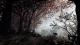 Warhammer: Vermintide 2 - Collector's Edition PC, wersja cyfrowa 8