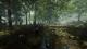 The Forest PC, wersja cyfrowa 12