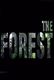 The Forest PC, wersja cyfrowa 1
