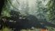 The Forest PC, wersja cyfrowa 5
