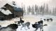 Sang-Froid - Tales of Werewolves PC, wersja cyfrowa 2