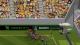 Pixel Cup Soccer 17 PC, wersja cyfrowa 14