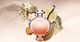 Paco Rabanne Olympea Aqua Legere EDT 50 ml 3