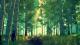 Firewatch Xbox One, wersja cyfrowa 10