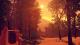 Firewatch Xbox One, wersja cyfrowa 4