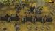 Earth 2150 Trilogy PC, wersja cyfrowa 9