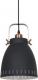 Lampa wisząca Italux Franklin industrial czarny  (MD-HN8026M-B+RC) 1