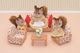 Figurka Epoch Sylvanian 4464 Trójelementowy zestaw wypoczynkowy 1