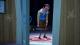 Hello Neighbor: Hide & Seek Xbox One 6