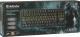 Klawiatura Defender Stalker Outemu Blue 1
