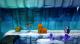 Crash Bandicoot N. Sane Trilogy Nintendo Switch 1