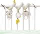 Fehn Spirala interaktywna Australia 30 cm (64100) 1
