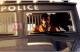 Driver San Francisco PC 6