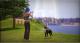 Sims 3 Zwierzaki Xbox 360 9