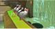 Penguins of Madagascar (Pingwiny z Madagaskaru) Xbox 360 2