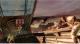 Uncharted 3: Oszustwo Drakea Edycja Limitowana 2