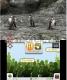 Zoo Resort 3D Nintendo 3DS 12