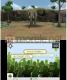 Zoo Resort 3D Nintendo 3DS 13