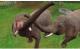 Zoo Resort 3D Nintendo 3DS 4