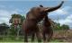 Zoo Resort 3D Nintendo 3DS 5