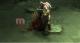 God of War Chains of Olympus Essentials 9