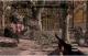Hunter\'s Trophy (gra + strzelba) 3