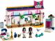 LEGO Friends Sklep z akcesoriami Andrei (41344) 1