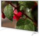 Telewizor Sharp LC-40FI3222EW LED Full HD 6