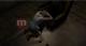 Silent Hill HD Collection 9