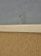 2x3 Tablica korkowa ECOBOARDS rama drewniana 30x40cm 1