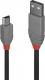 Kabel USB Lindy USB-A - miniUSB 2 m Szary (36723) 1