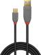 Kabel USB Lindy USB-A - USB-C 1 m Czarny (36886) 2
