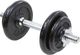 Eb Fit ‎‎Hantel żeliwny 1 x 10 kg 1