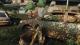 The Last of Us Remastered PS4 4